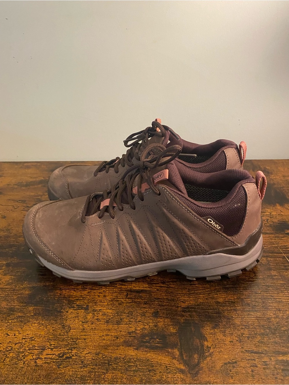 Oboz Spyes Low Leather Waterproof Hiking Shoes
